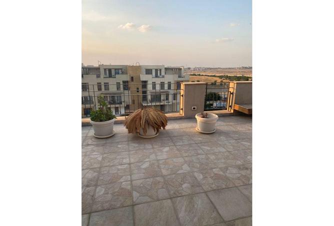 61688335 - Property Image 3