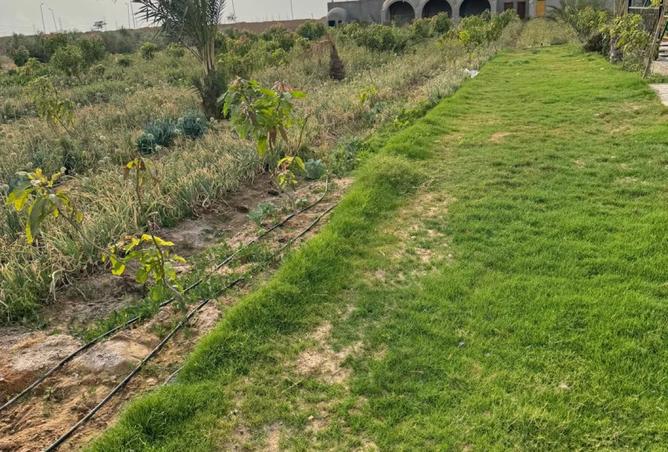 8486679 - Property Image 2