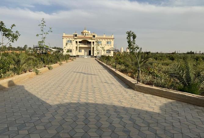 8486679 - Property Image 3