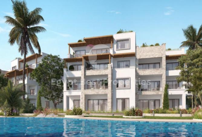 58252374 - صورة العقار 2