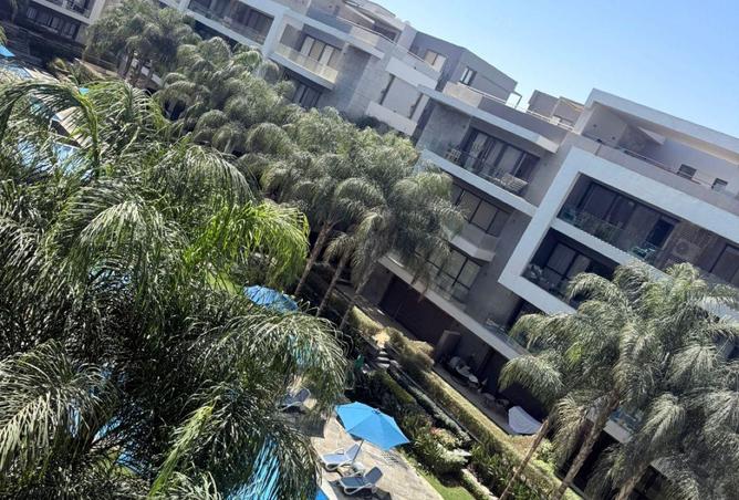 59498397 - Property Image 3