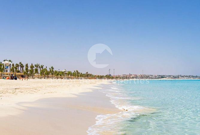 69560797 - صورة العقار 2