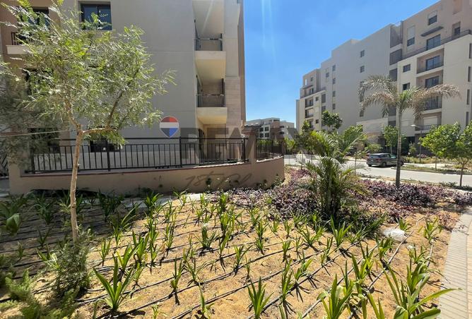 53718556 - الصورة الرئيسية للعقار