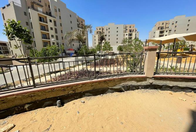 53718556 - صورة العقار 2