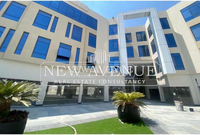 53473245 - Property Image 2