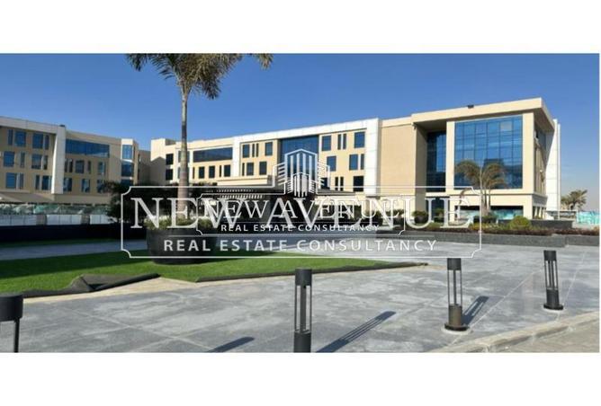 53473245 - Property Image 3