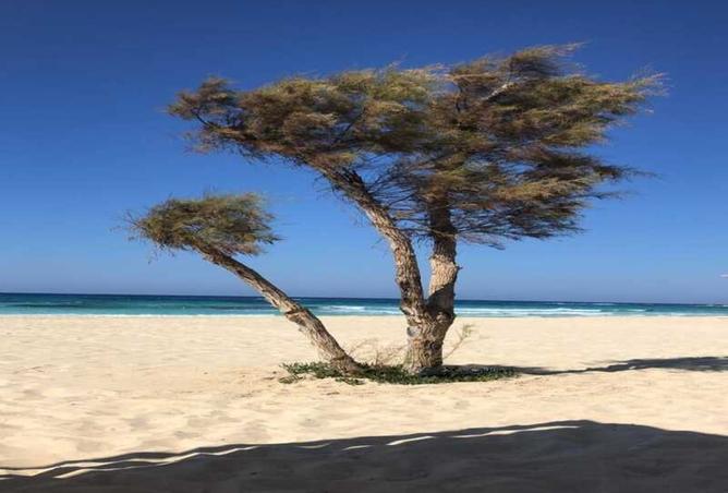 8514268 - Property Image 3