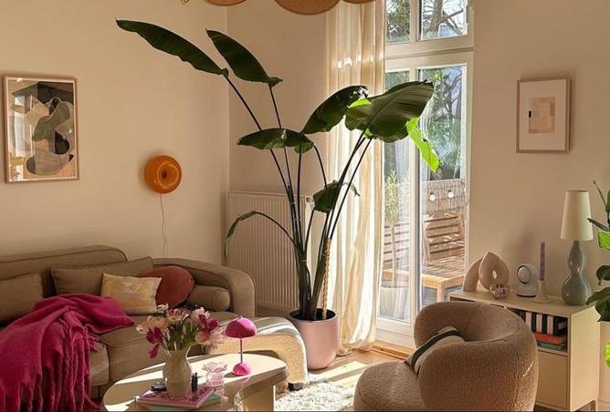 59497585 - Property Image 3