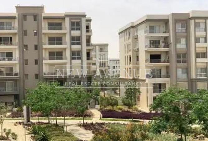 76508177 - Property Image 3