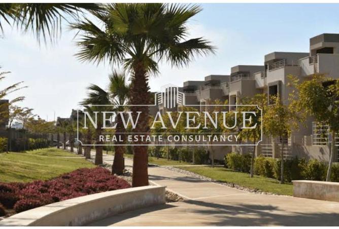 65667799 - صورة العقار 3