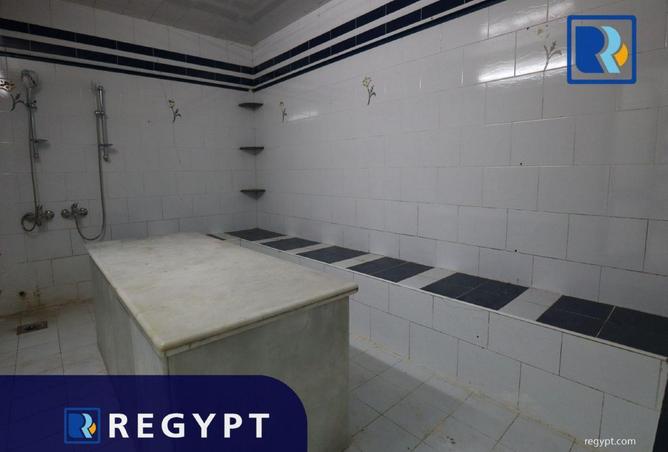 68527055 - Property Image 3