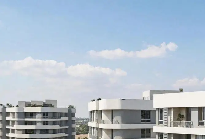 117282525 - Property Image 2