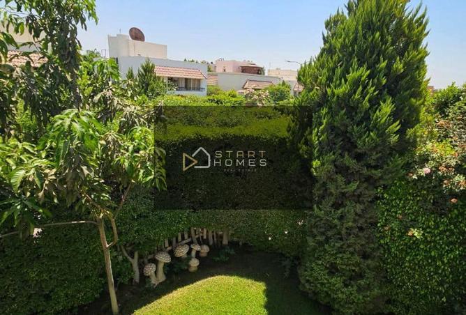 56496635 - Property Image 3