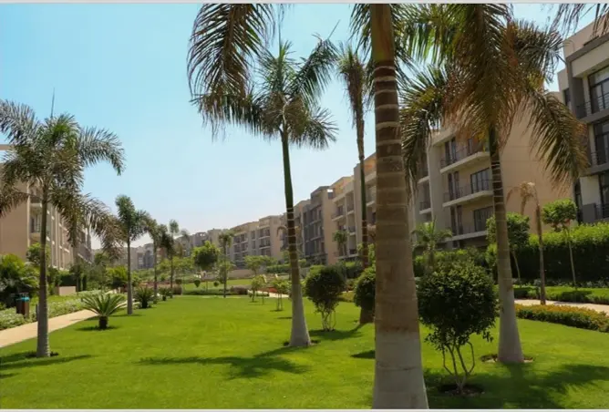 99812217 - Property Image 2