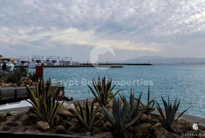 54496564 - صورة العقار 2