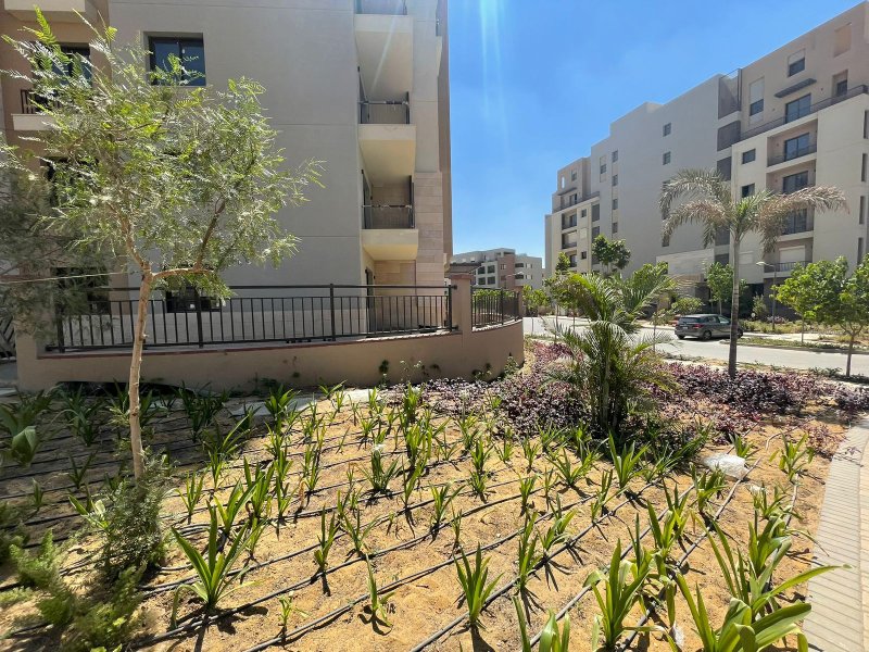 2BR Apartment | Garden Access | District 5 thumbnail