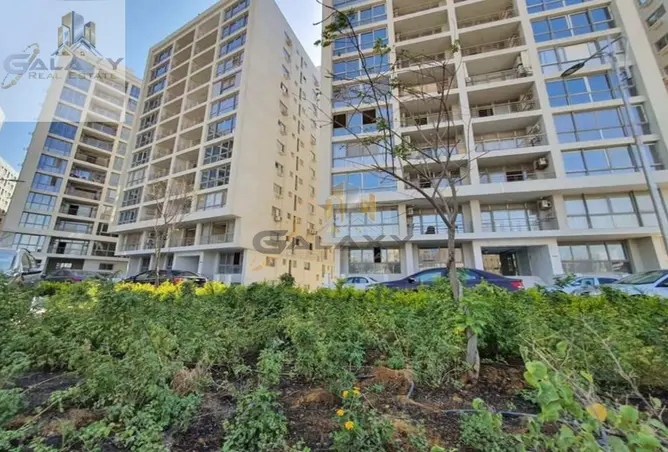 110745159 - Property Image 3