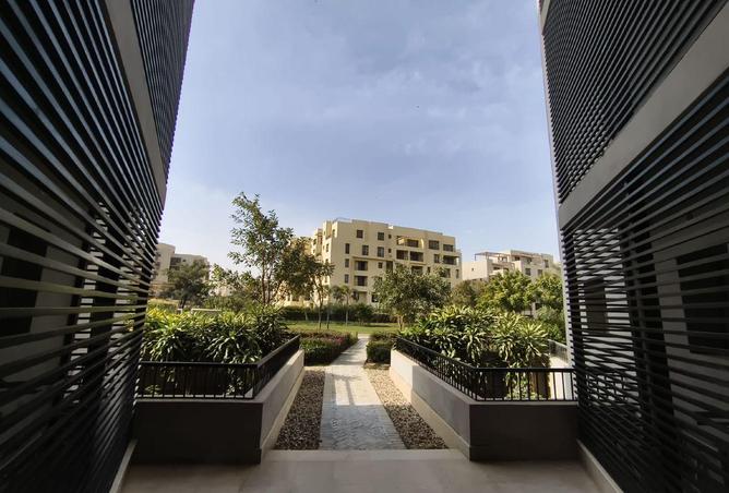 8586898 - Property Image 3