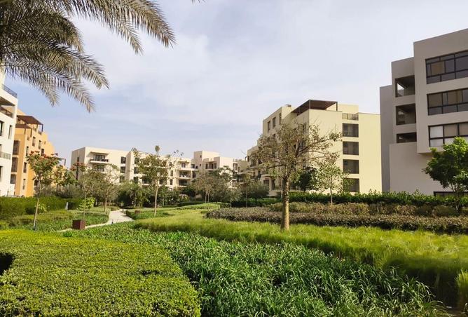 8586898 - Property Image 2