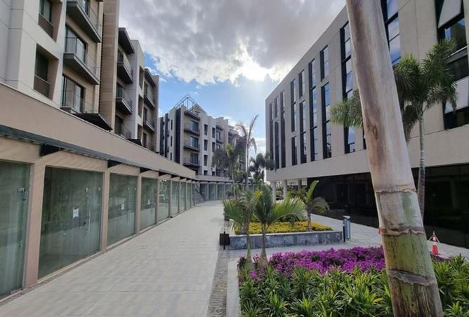 55505944 - صورة العقار 2