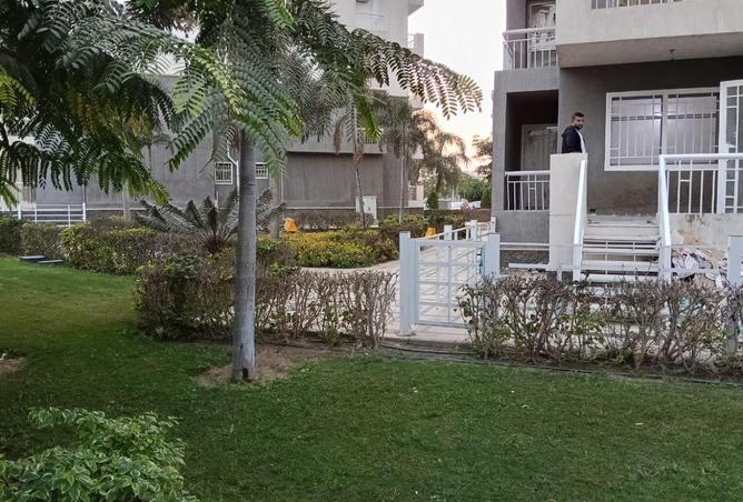 53985457 - الصورة الرئيسية للعقار