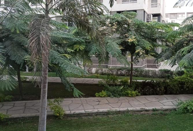 53985457 - صورة العقار 2