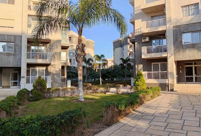 53985457 - صورة العقار 3