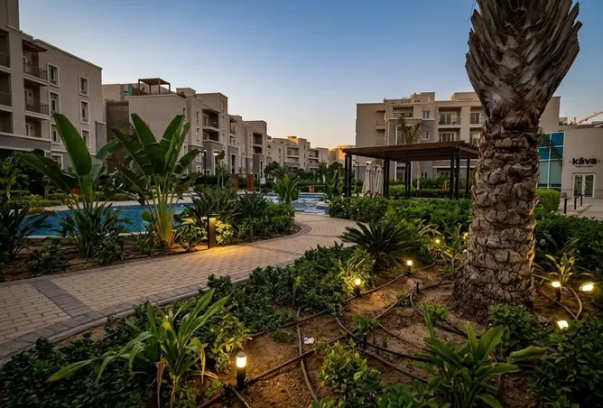 115710204 - صورة العقار 2