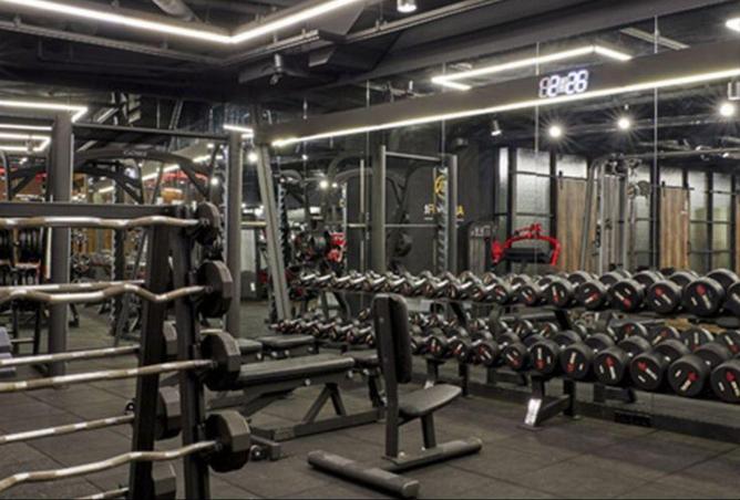 51168606 - صورة العقار 3