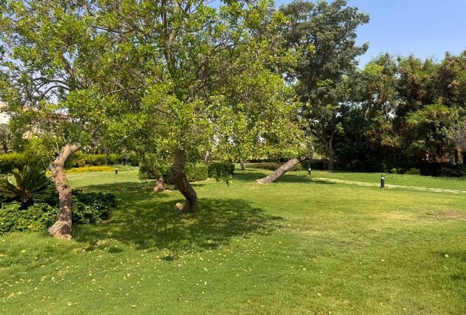 70105349 - Property Image 2