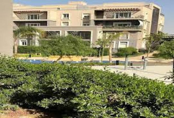 58247436 - صورة العقار 3