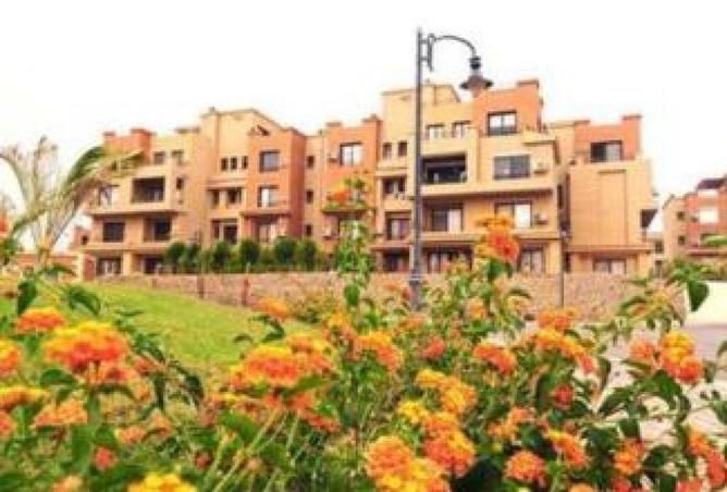 8668009 - صورة العقار 3