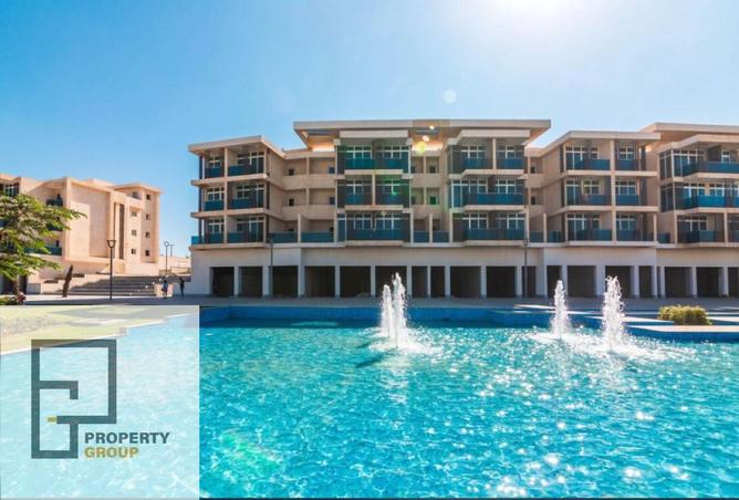 56246681 - صورة العقار 3