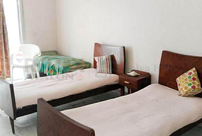 54233900 - صورة العقار 2