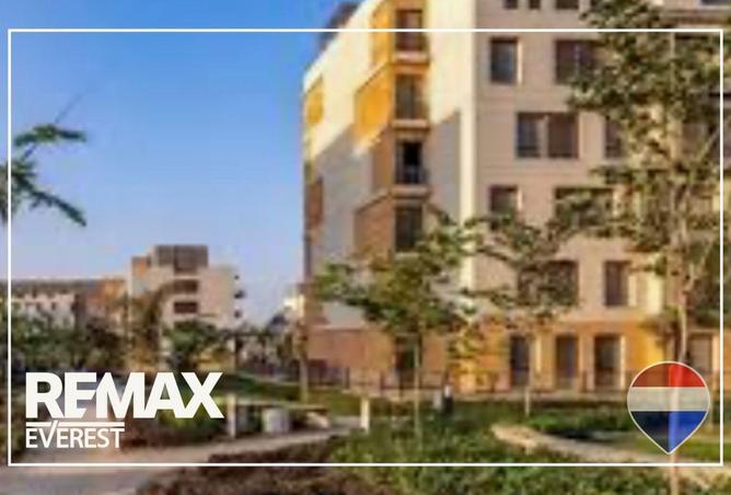 84247400 - Property Image 3