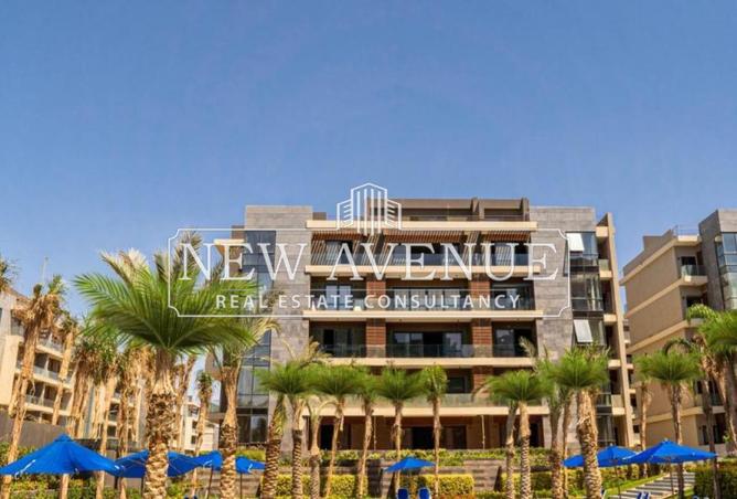 56250073 - Property Image 3