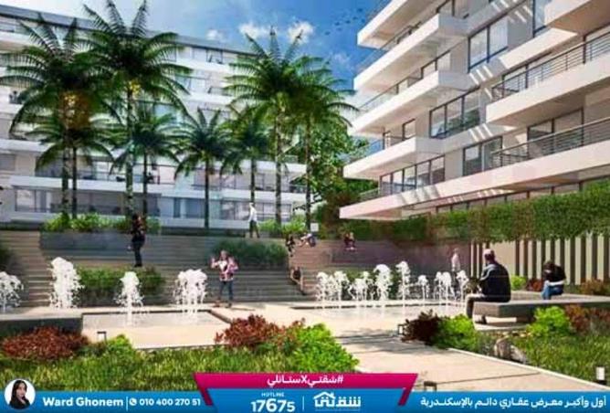 8636443 - صورة العقار 2