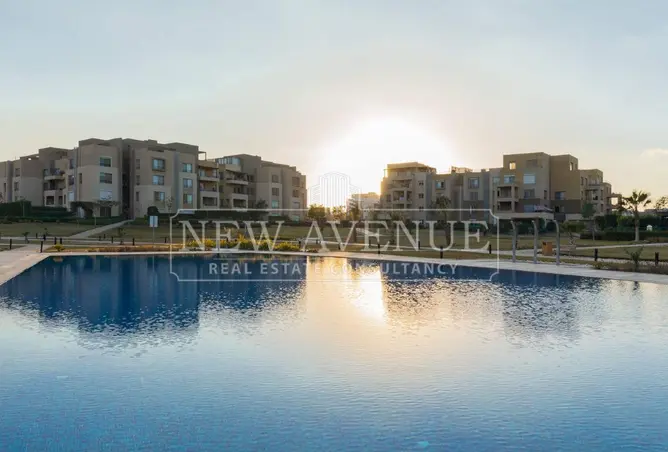 112983278 - Property Image 3