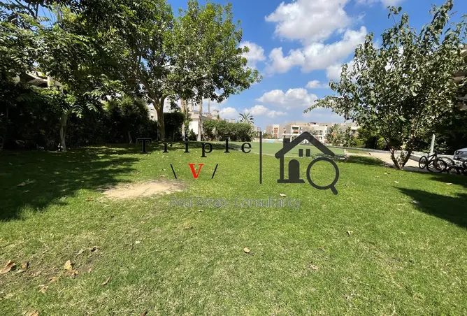 115718262 - Property Image 2