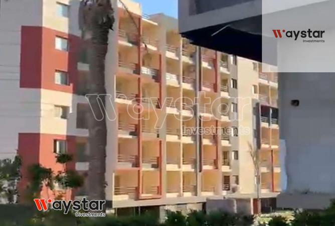 99105932 - Property Image 3