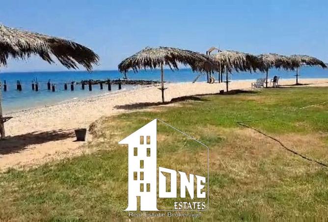 52193736 - صورة العقار 3