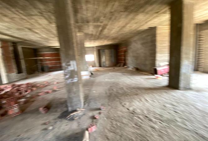 101774661 - Property Image 3