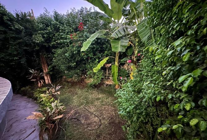 54751687 - Property Main Image