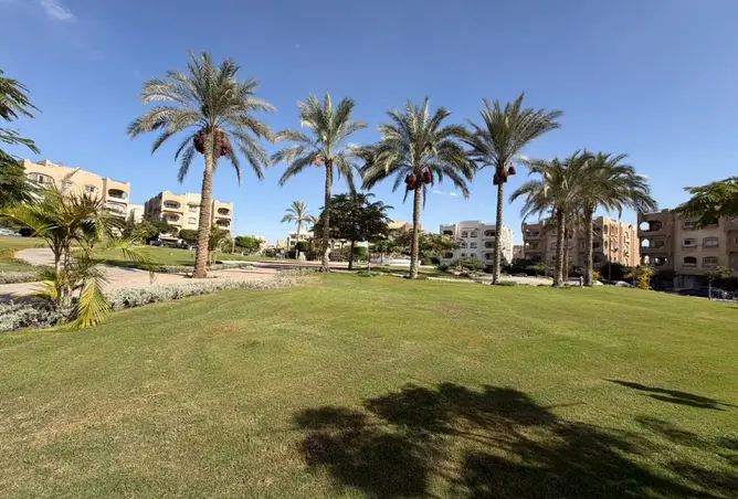 114611380 - صورة العقار 3