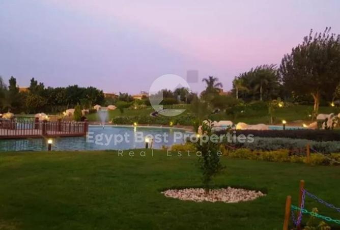 101202330 - صورة العقار 3