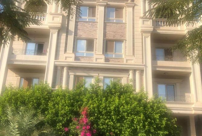 58498192 - Property Image 3