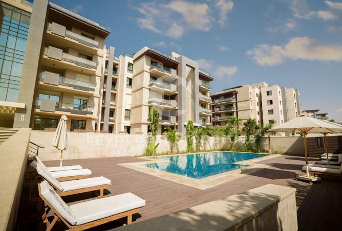 56495663 - Property Image 3