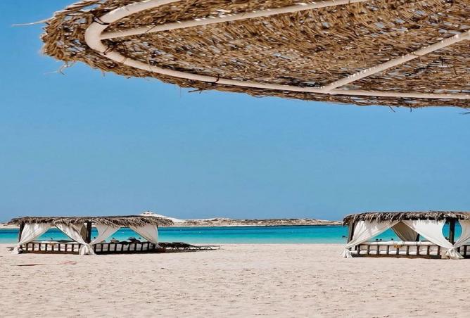 94369555 - صورة العقار 2