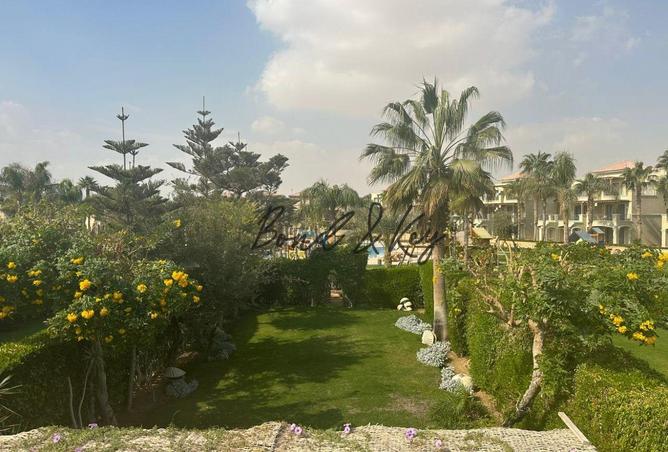 103767816 - Property Image 3