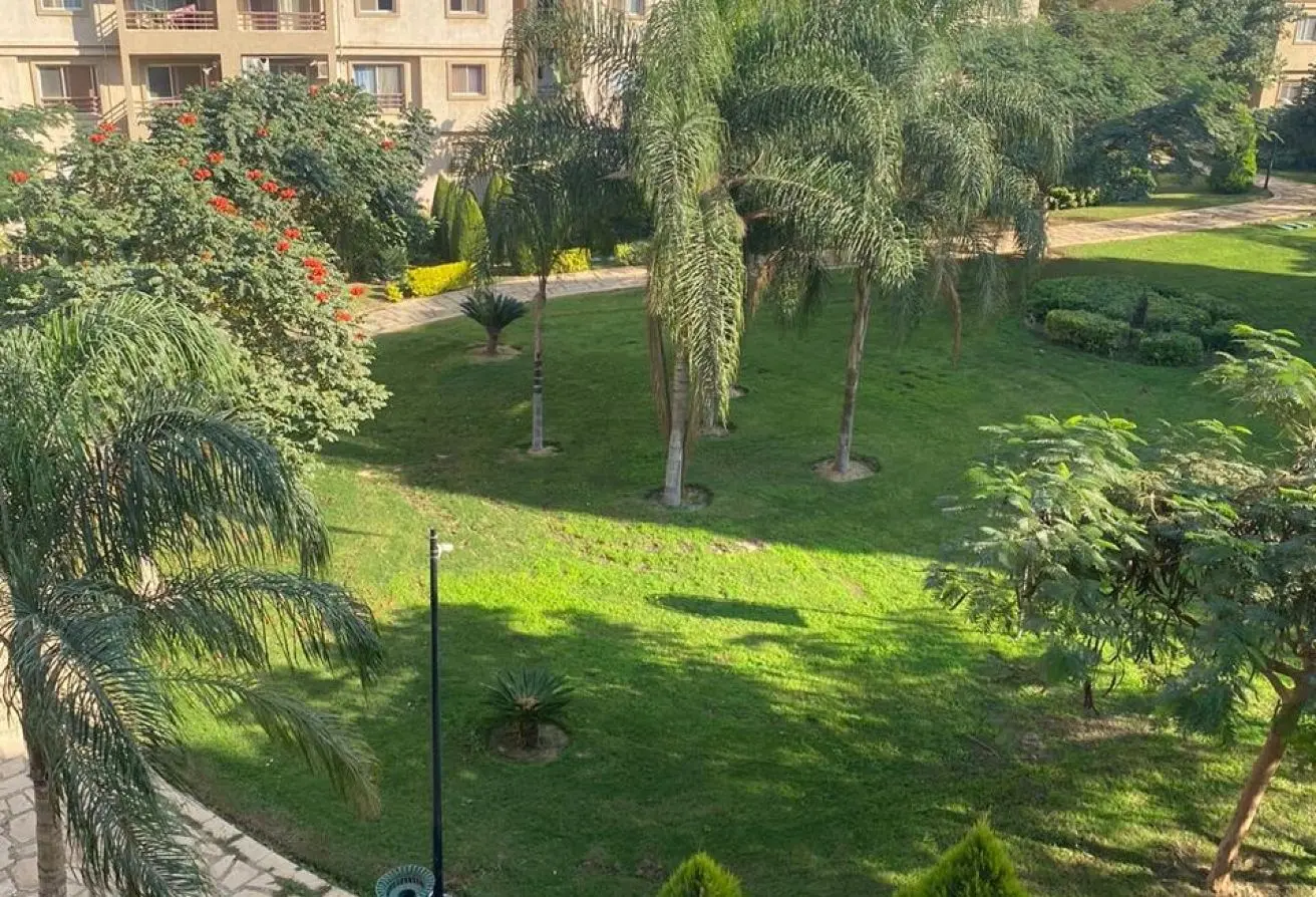 120293954 - الصورة الرئيسية للعقار